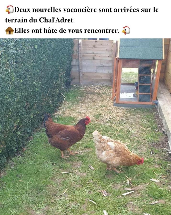 Le Chal Adret Βίλα Cardonville Εξωτερικό φωτογραφία
